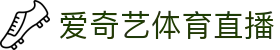 爱奇艺体育 | 爱奇艺在线观看入口 - 足球篮球直播查询